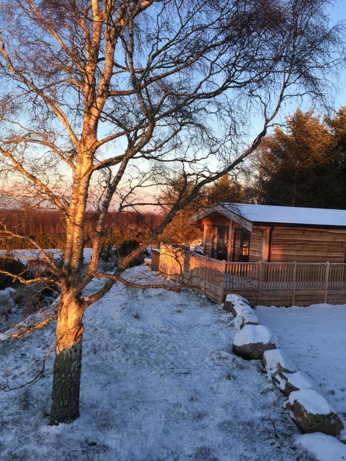 Burgie Woodland Lodges Forres Exterior photo